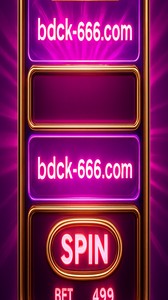 ck666-এর VIP প্রোগ্রাম